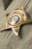 Adams County Sheriffs Office Badge