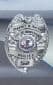 Hoopeston Police Department Badge