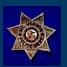 Mount Vernon Police Department Badge